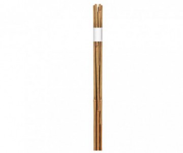 TUTEUR BAMBOU  DIAMETRE 12-14MM HAUTEUR 150CM
