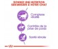 CROQUETTES CHAT STERILISED 7+  3,5KG - ROYAL CANIN