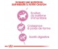 CROQUETTES CHATON STERILISED 2KG - ROYAL CANIN