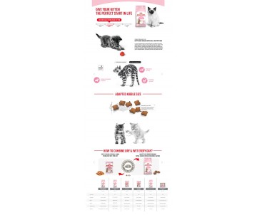 CROQUETTES CHATON STERILISED 2KG - ROYAL CANIN