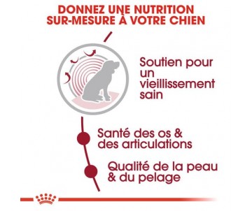 CROQUETTES CHIEN MEDIUM AGEING 10+ 15KG - ROYAL CANIN
