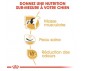 CROQUETTES CHIEN ADULT FRENCH BULLDOG 3KG - ROYAL CANIN