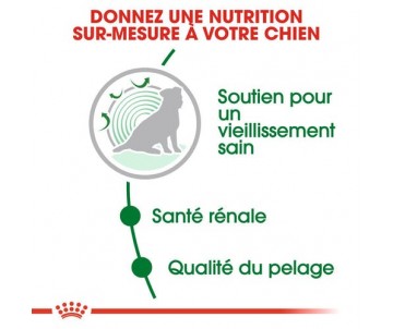 CROQUETTES CHIEN MINI AGEING 12+  3,5KG - ROYAL CANIN