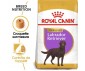 CROQUETTES CHIEN LABRADOR RETRIEVER STERILISED 12KG - ROYAL CANIN