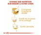 CROQUETTES CHIEN JACK RUSSELL ADULT 3KG - ROYAL CANIN
