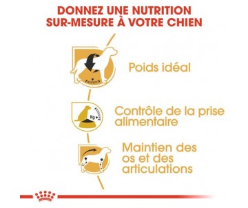 CROQUETTES CHIEN BEAGLE ADULT 12KG - ROYAL CANIN