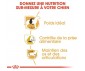 CROQUETTES CHIEN BEAGLE ADULT 12KG - ROYAL CANIN