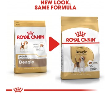 CROQUETTES CHIEN BEAGLE ADULT 12KG - ROYAL CANIN
