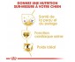 CROQUETTES CHIEN GOLDEN RETRIEVER ADULT 12KG - ROYAL CANIN
