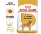 CROQUETTES CHIEN GOLDEN RETRIEVER ADULT 12KG - ROYAL CANIN