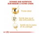 CROQUETTES CHIEN LABRADOR RETRIEVER ADULT 12KG - ROYAL CANIN