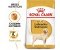 CROQUETTES CHIEN LABRADOR RETRIEVER ADULT 12KG - ROYAL CANIN