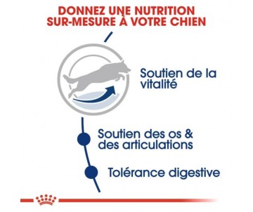 CROQUETTES CHIEN MAXI ADULT 5+ 15KG - ROYAL CANIN