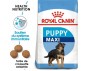 CROQUETTES CHIEN MAXI JUNIOR 15KG - ROYAL CANIN