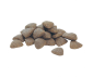 CROQUETTES CHIEN ADULTE ROBUST SENSITIVE DIGESTION AGNEAU 14KG - PRUINA PRO PLAN