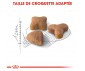 CROQUETTES CHAT SENSIBLE 33 400GR - ROYAL CANIN