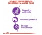 CROQUETTES CHAT SENSIBLE 33 400GR - ROYAL CANIN