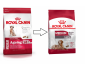 CROQUETTES CHIEN MEDIUM AGEING 10+ 15KG - ROYAL CANIN