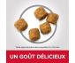 CROQUETTES CHIEN ADULTE MEDIUM AGNEAU ET RIZ 12 KG - HILL'S