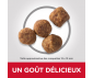 CROQUETTES CHIEN MATURE AGE 7+ LIGHT POULET 12KG - HILL'S