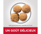 CROQUETTES CHIEN ADULTE GRANDE RACE AGNEAU RIZ 12KG - HILL'S