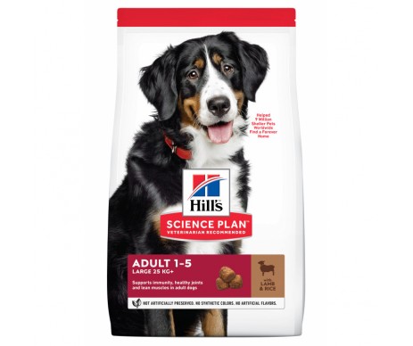 CROQUETTES ADVANTED FITNESS GRAND CHIEN AGNEAU RIZ 12KG