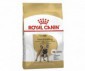 CROQUETTES FRENCH BULLDOG ADULT 3KG ROYAL CANIN