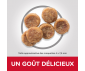 CROQUETTES CHIEN ADULTE SMALL & MINI POULET 1,5KG - HILL'S SCIENCE PLAN