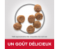 CROQUETTES CHIOT SMALL & MINI POULET 1,5KG - HILL'S