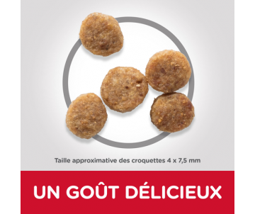 CROQUETTES CHIEN SENIOR 11+ SMALL & MINI POULET 1,5KG - HILL'S