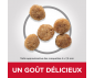 CROQUETTES CHIEN SENIOR 11+ SMALL & MINI POULET 1,5KG - HILL'S