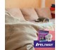 DIFFUSEUR FELIWAY CLASSIC + RECHARGE 30 JOURS