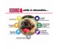 JOUET KONG CLASSIC - LARGE ROUGE - KONG