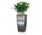 BAC RESERVE D'EAU CUBICO COLOR 22 X 22CM GRIS ARDOISE - LECHUZA