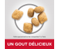CROQUETTES CHAT ADULT ORAL CARE POULET 1.5KG - Hill's Science Plan