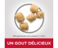 CROQUETTES CHAT MATURE 7+ LIGHT POULET 1.5KG - Hill's Science Plan