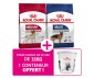 CROQUETTES CHIEN MEDIUM ADULT 15KG - ROYAL CANIN