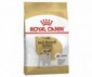 CROQUETTES JACK RUSSELL ADULT 3KG ROYAL CANIN