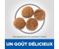 CROQUETTES CHIEN ADULTE MOYENNE RACE POULET 2.5KG - HILL'S