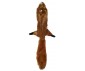 JOUET POUR CHIEN PELUCHE SKINNEEEZ ÉCUREUIL 61CM - ETHICAL PRODUCTS