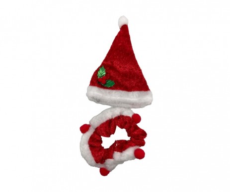 CHAPEAU ET COLLIER PR CHIEN m