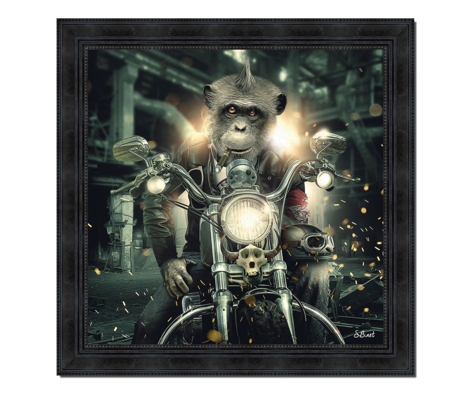 BINET GORILLE MOTO 68X68CM