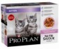 CAT POCHON JUNIOR DINDE 10X85G