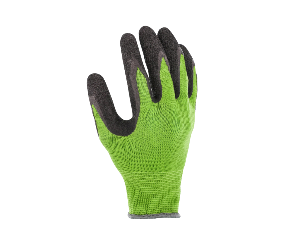 GANT AUBEPINE VERT C. 8