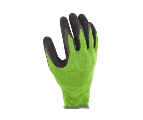 GANT AUBEPINE VERT C. 8