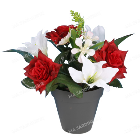 Pot rose lys