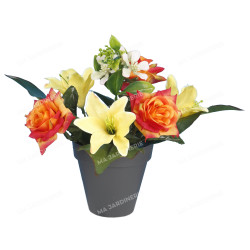 Pot rose lys