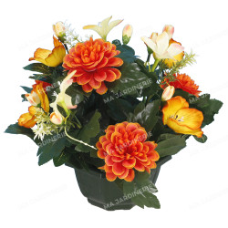 Coupe zinnia anémone