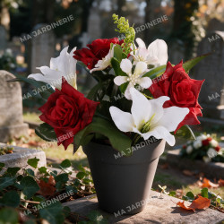 Pot rose lys