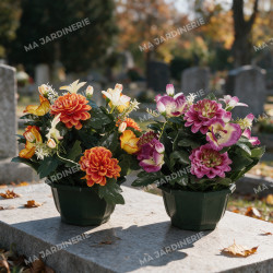 Coupe zinnia anémone